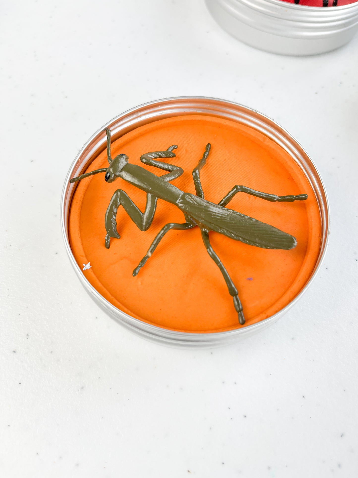 Bugs Themed Playdough – Insect Themed Sensory Dough with Bug Topper